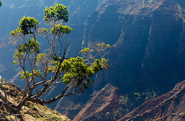 Image showing Waimea Canyon on Kauai