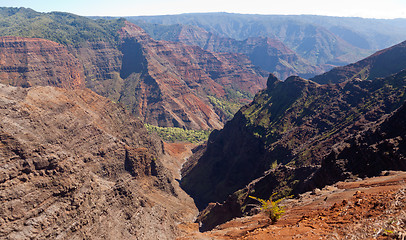 Image showing Waimea Canyon on Kauai