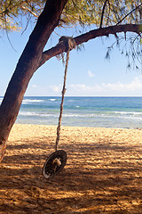 Image showing Rope swing on beach by ocean