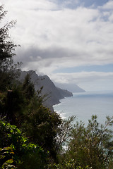 Image showing Na Pali on Kauai from trail