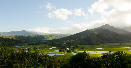 Image showing Panorama of Hanalei Valley in Kauai
