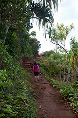 Image showing Girl hiking Kalalau trail in Kauai