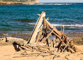 Image showing Driftwood formed into tent shape