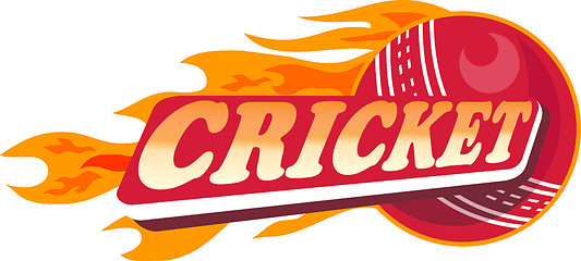 Image showing cricket sports ball flames