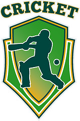 Image showing cricket batsman batting