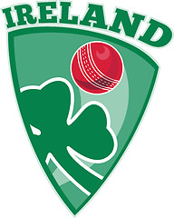 Image showing cricket ireland