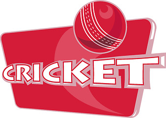 Image showing cricket sports ball