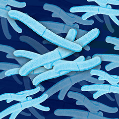 Image showing bacteria cell grouping