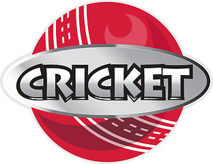 Image showing cricket sports ball