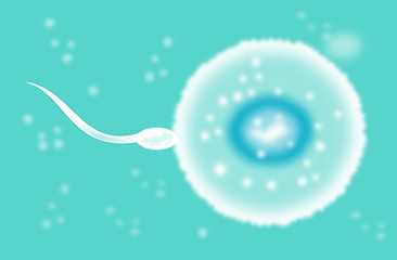 Image showing sperm cell fertilizing egg