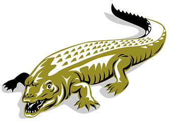 Image showing alligator crocodile