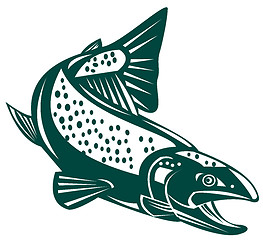 Image showing trout fish jumping