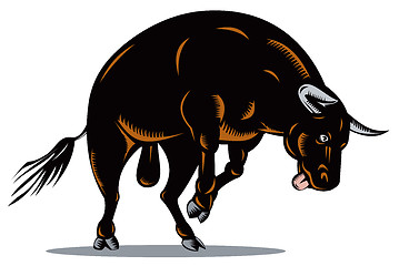 Image showing  raging bull charging attacking 