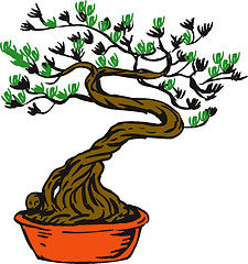 Image showing bonsai tree