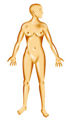 Image showing female human anatomy standing