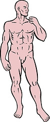 Image showing male human anatomy standing