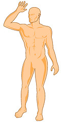 Image showing male human anatomy standing