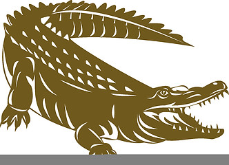 Image showing alligator crocodile