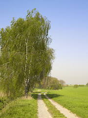 Image showing idyllic landscape at spring time