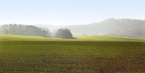 Image showing rural autumn landscape