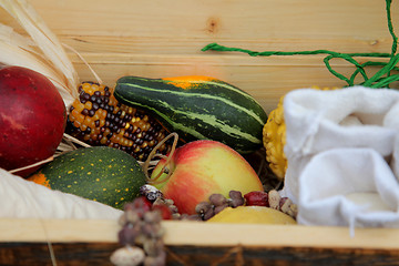 Image showing Autumn Harvest