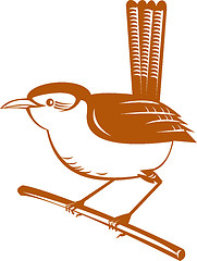 Image showing wren bird perched on branch