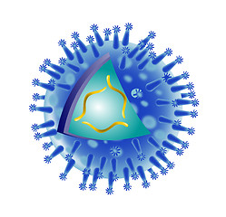 Image showing flu virus structure