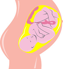 Image showing human fetus inside womb