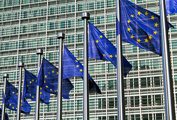 Image showing European flags in Brussels