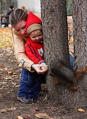 Image showing Boy feeds a squirrel