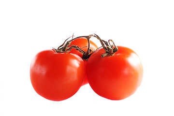 Image showing Some tomatos isolated