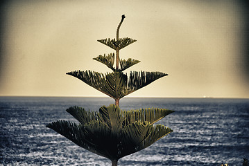 Image showing Bondi Beach detail in Sydney