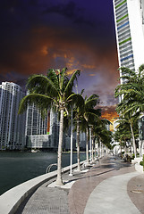 Image showing Miami Beach Buildings and Colors, U.S.A.