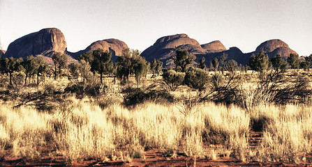 Image showing Australian Outback Exploration