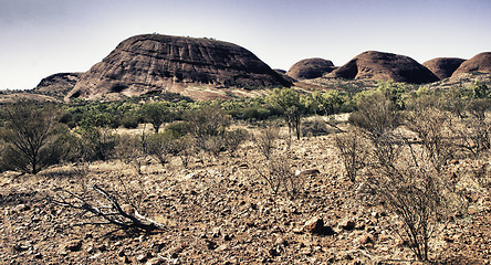 Image showing Detail of Australian Outback