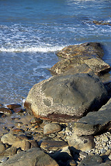 Image showing Cairns-Port Douglas Coast, Australia