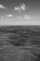 Image showing Surface of the Great Barrier Reef near Port Douglas