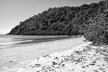 Image showing Daintree National Park, Australia