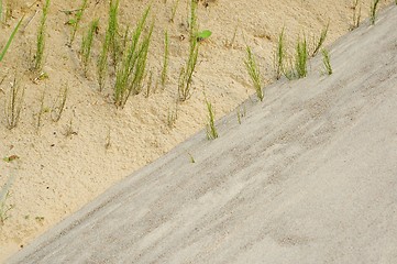 Image showing Sand