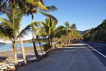 Image showing Cairns-Port Douglas Coast, Australia