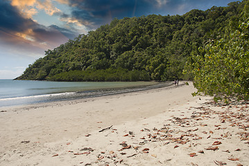 Image showing Vegetation and Ocean in Cape Tribulation