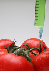 Image showing Injection into fresh red tomato