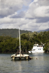 Image showing Coast near Port Douglas, Australia