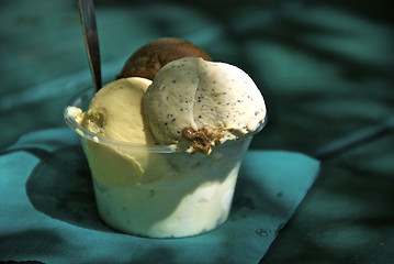 Image showing Queensland Ice Cream