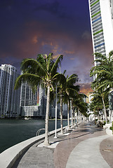 Image showing Miami Beach Buildings and Colors, U.S.A.