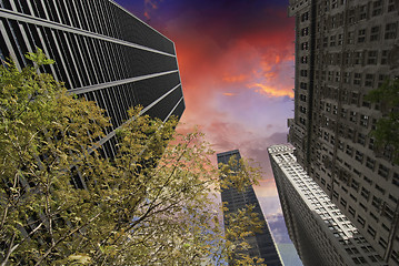 Image showing Sky Colors over New York City Skyscrapers