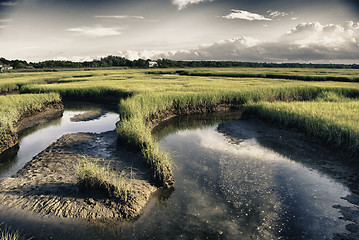 Image showing Countryside of Massachusetts