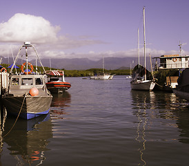 Image showing Coast near Port Douglas, Australia