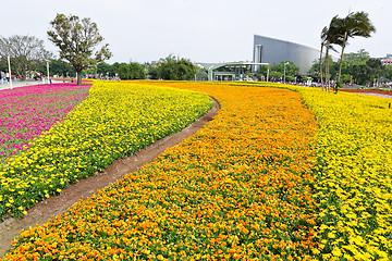 Image showing flower field in city