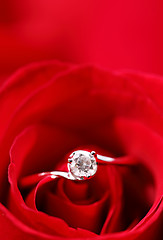 Image showing rose with ring